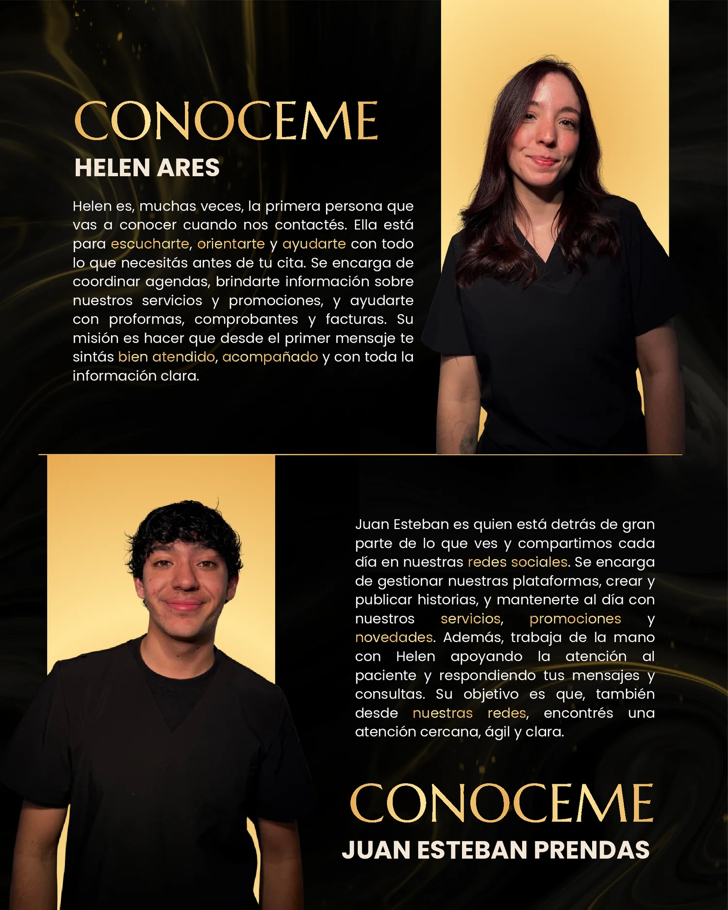 Página 6 de 41