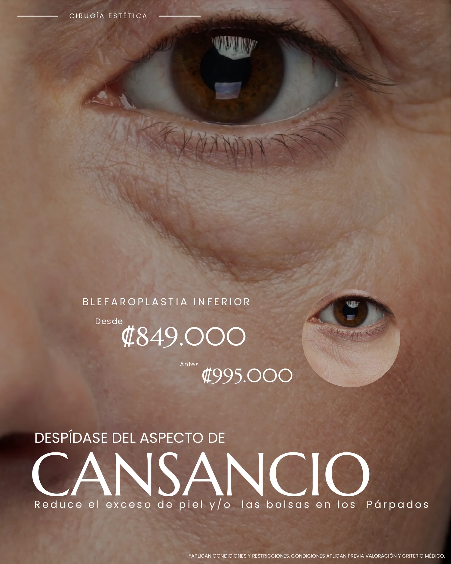 Página 13 de 41